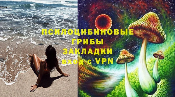 стаф Болотное