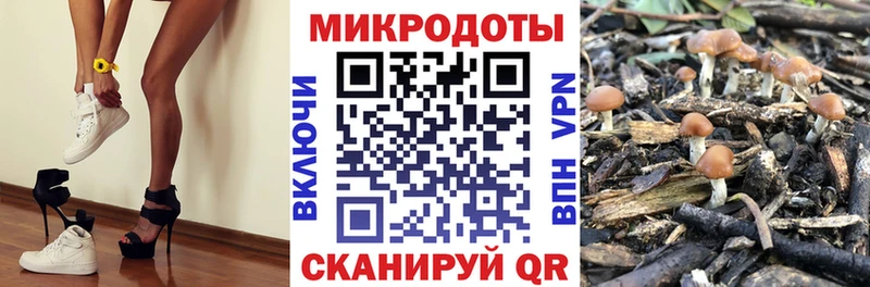 Галлюциногенные грибы GOLDEN TEACHER Тольятти